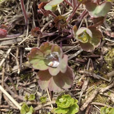 Pet Friendly 3-bed House In With Parking Дом отдыха Милом